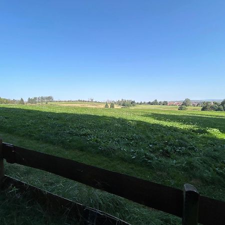 Bergwiesenblick38678 Clausthal-Zellerfeld Eksteriør bilde